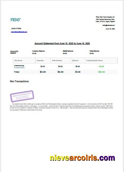 Nigeria Rise Vest account statement Word and PDF